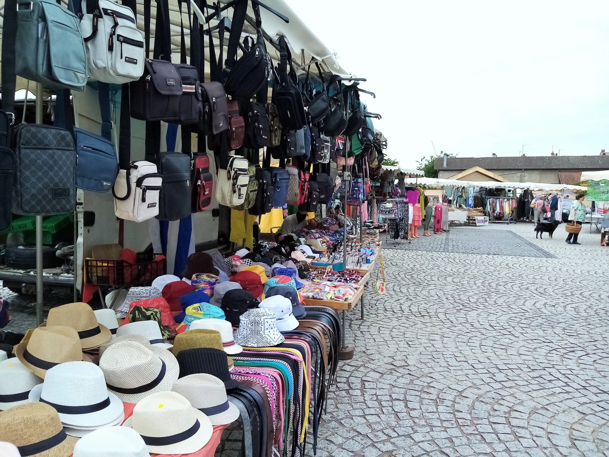 520888976 24128099476830347 536705172987302666 n