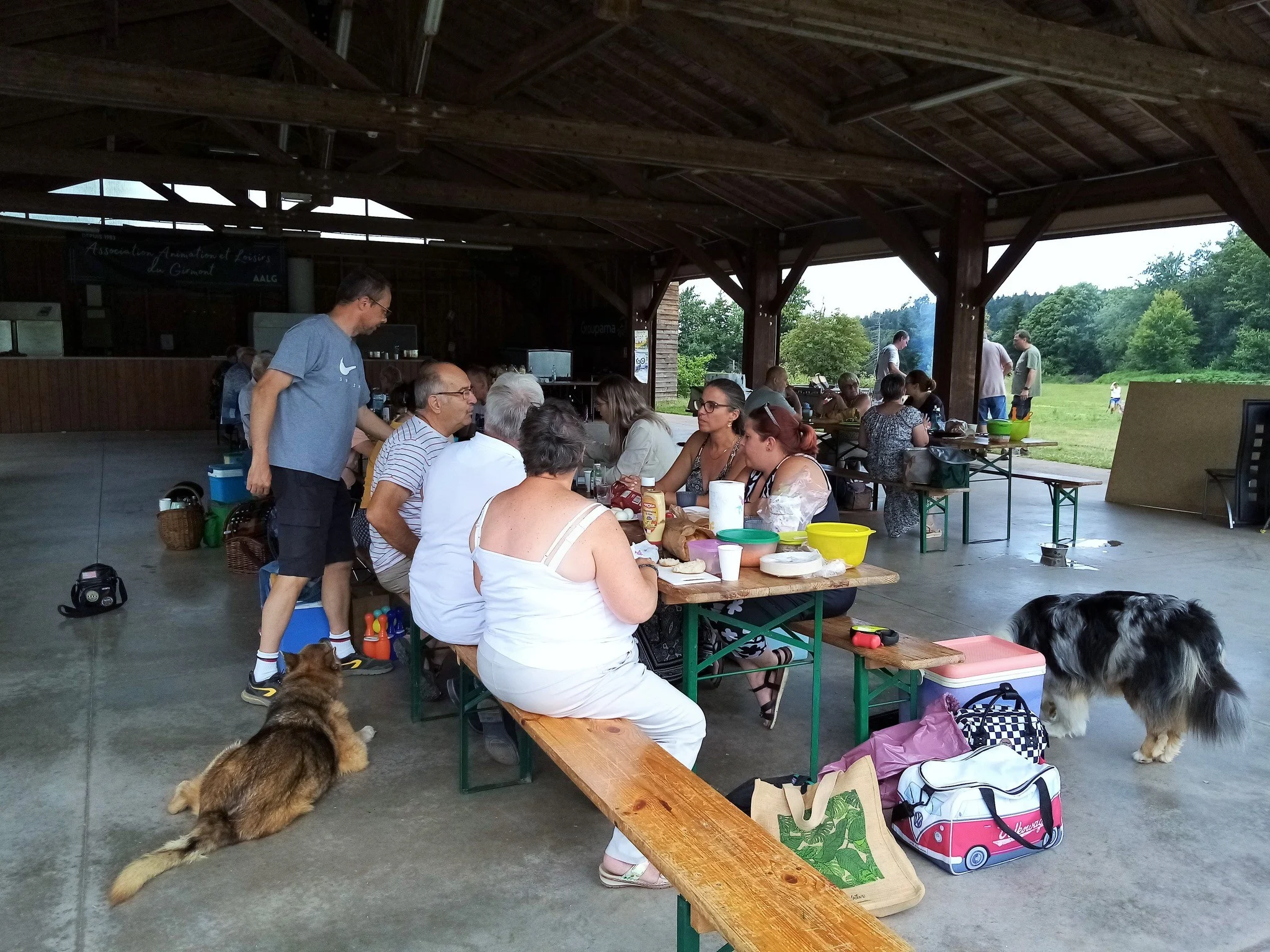 521358050 24128134946826800 6819880429715168978 n