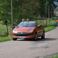 Dsc 1060