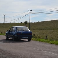 Dsc 1381