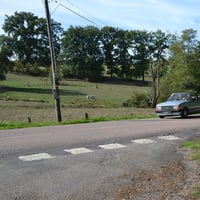 Dsc 1390