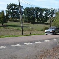 Dsc 1391