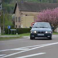 Dsc 493