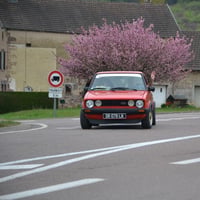 Dsc 517