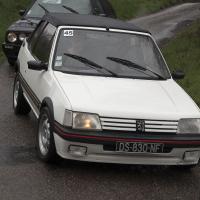 Dsc5560a